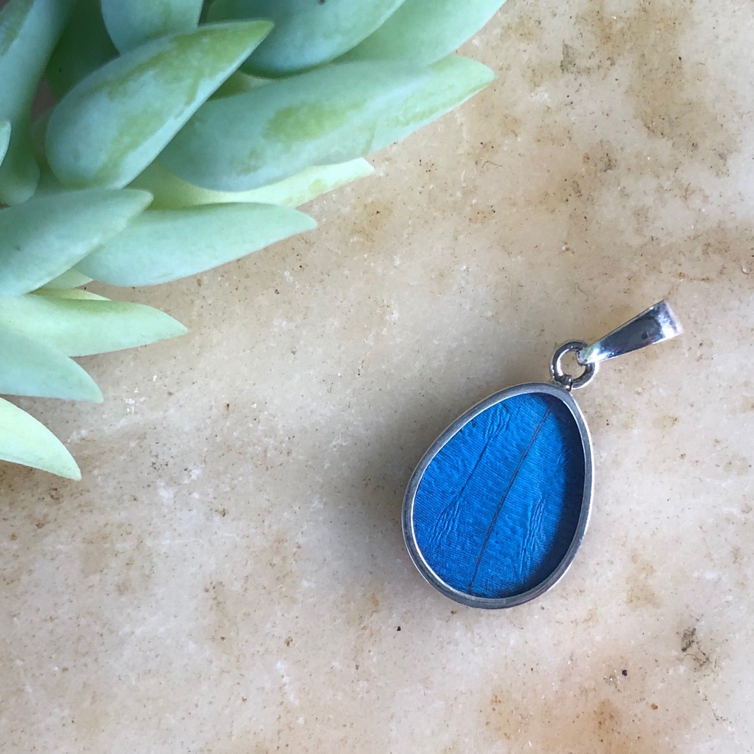 Butterfly Pendants Women of the Cloud Forest