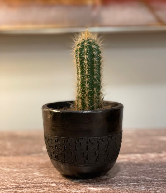 Naturally Black Textured Planter (Small)