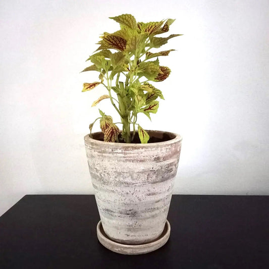 Concrete White-washed Terracotta Planter (Medium)