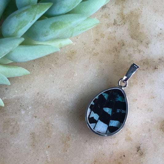 Day-Flying Moth Pendant