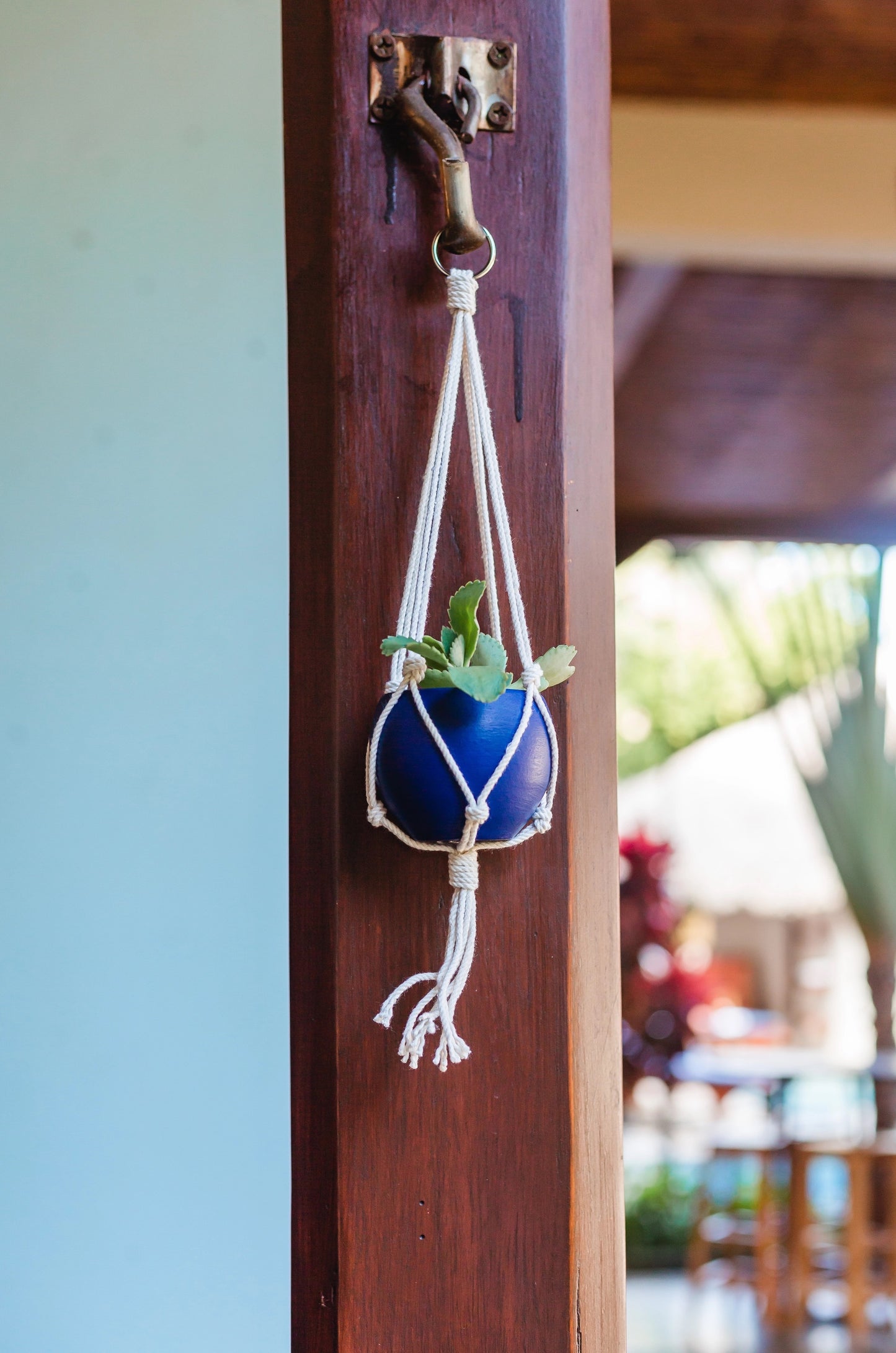 Mini Round Planter with Macrame Hanger