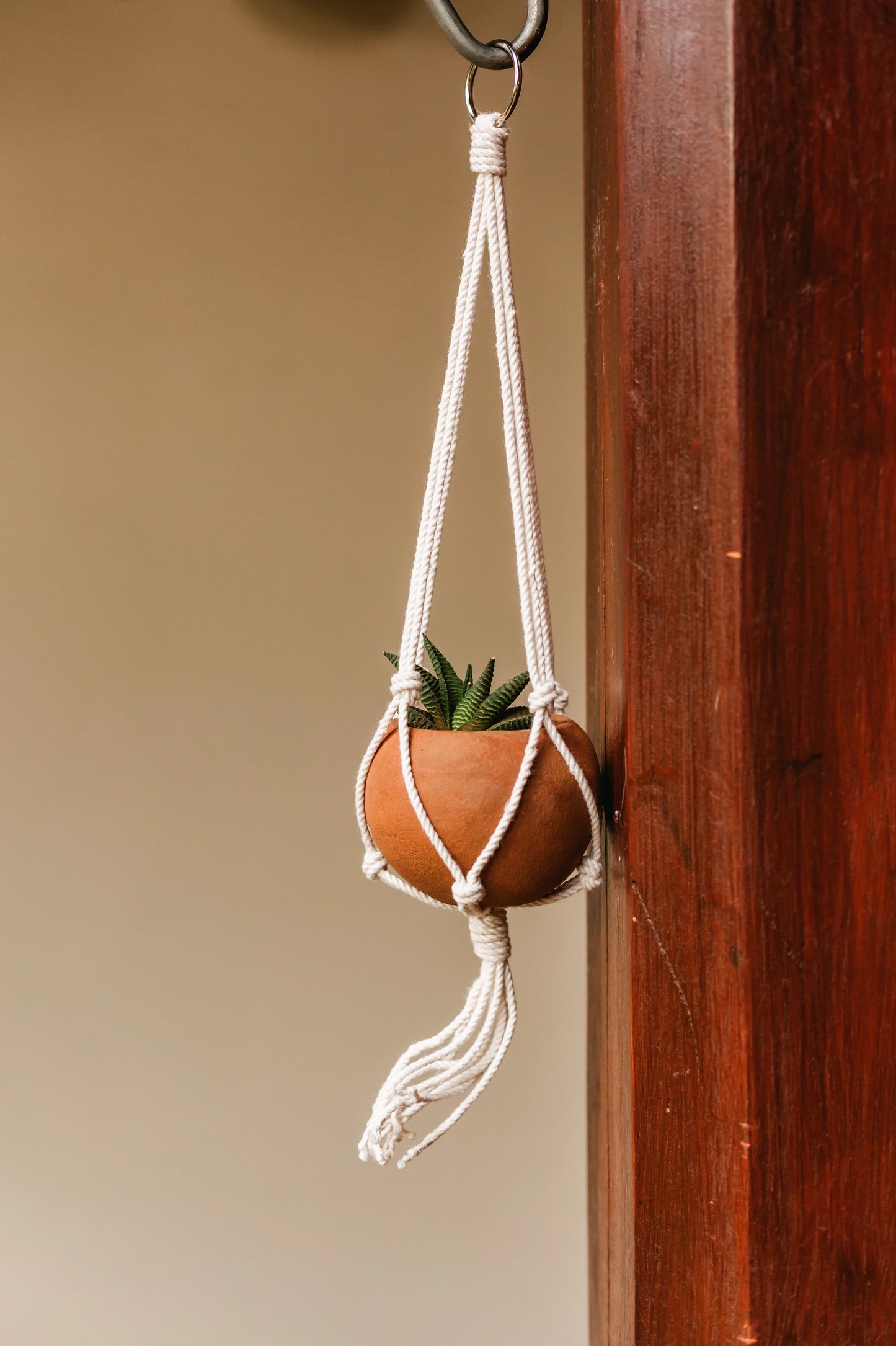Mini Round Planter with Macrame Hanger