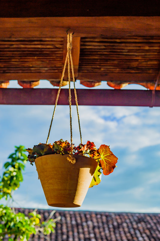 Concrete-washed Terracotta Hanging Planter