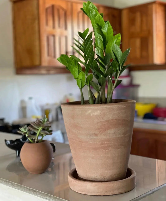 Concrete-washed Terracotta Planter (Large)