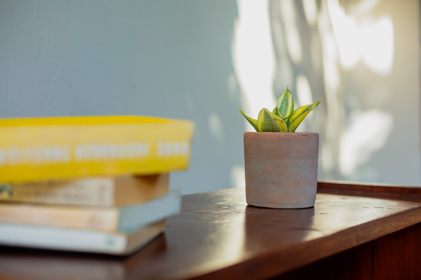 Small Cylinder Concrete Planter