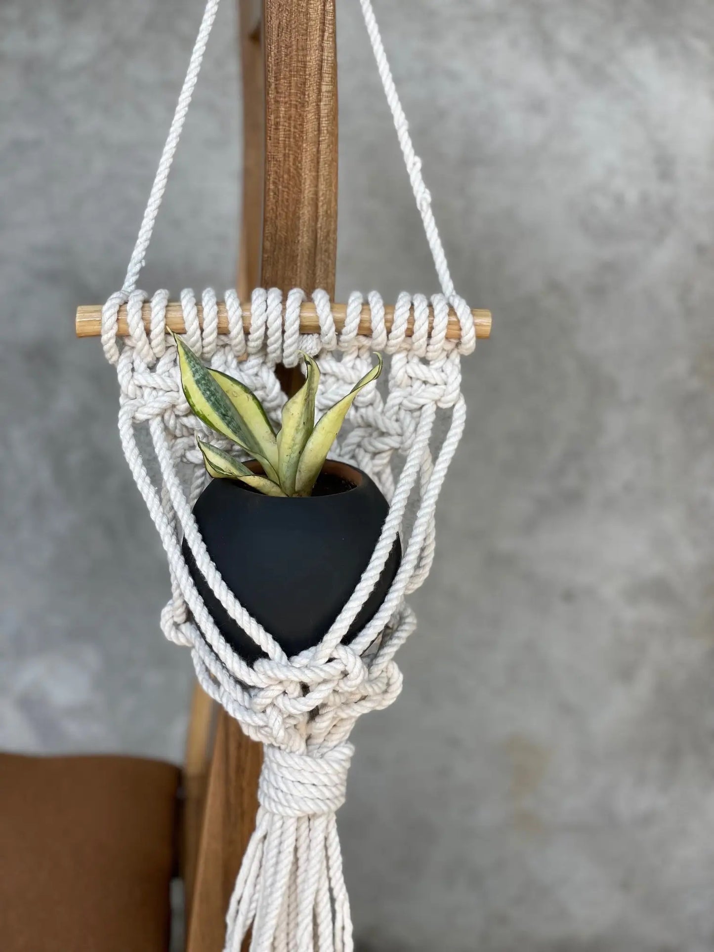 Macrame Wall-Hanging Planter