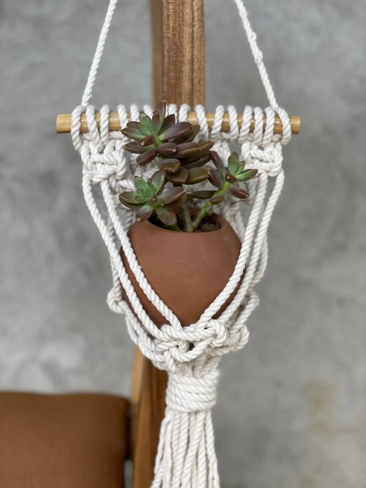 Macrame Wall-Hanging Planter