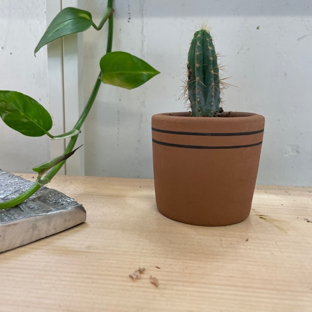 Small Ceramic Planter