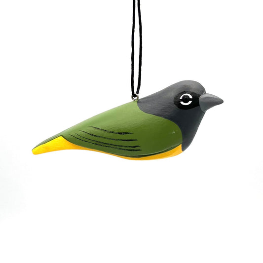 MacGillivray's Warbler Balsa Ornament