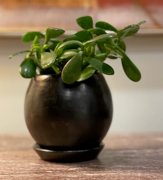Naturally Black Mini Round Planter