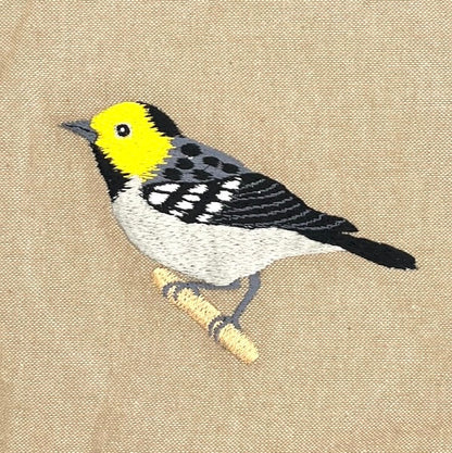 Hermit Warbler Field Bag