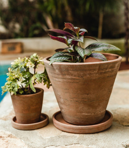 Concrete-washed Terracotta Planter Starter Pack (18 units)