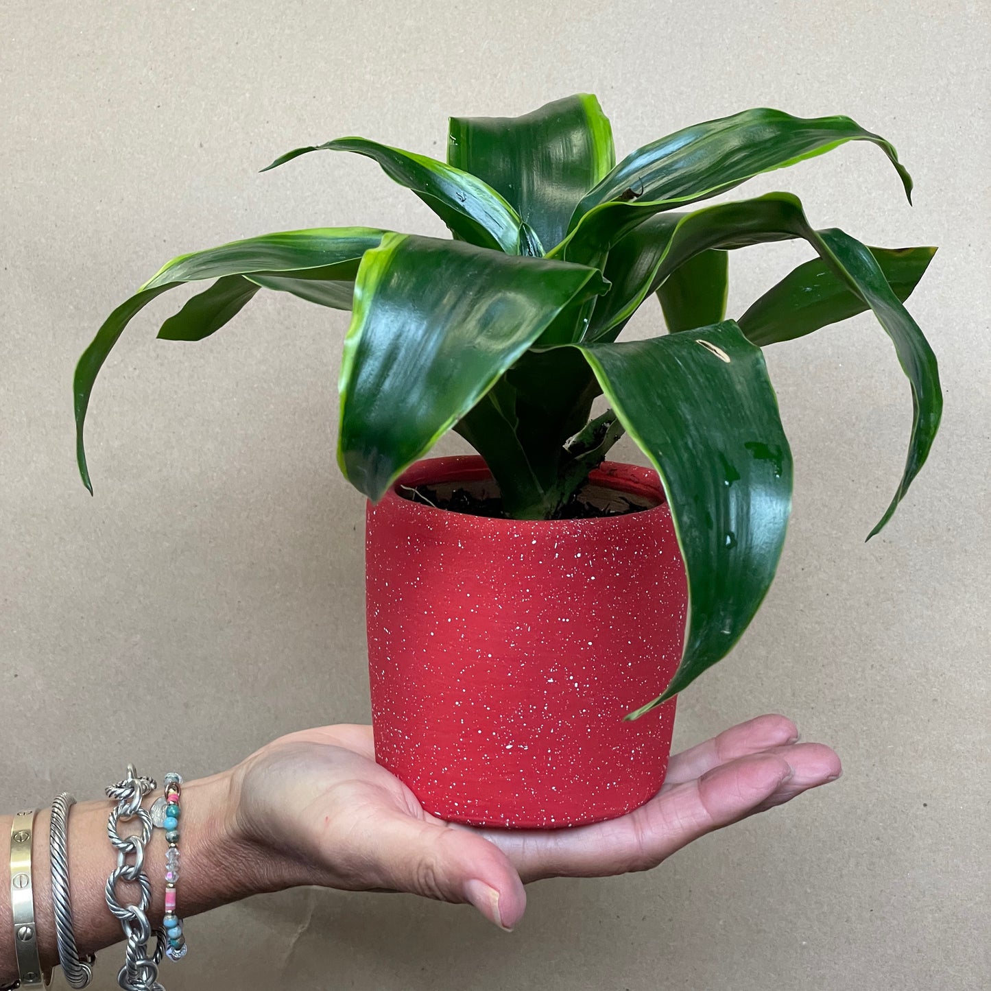 Small Red Festive Ceramic Planter